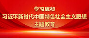 大吊操美女逼学习贯彻习近平新时代中国特色社会主义思想主题教育_fororder_ad-371X160(2)